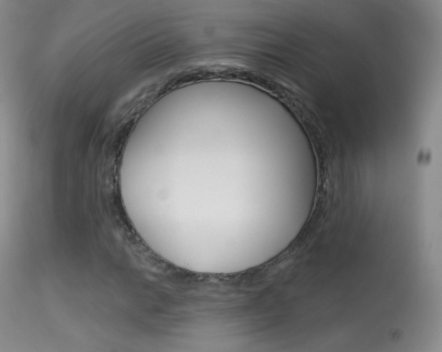 X0000113611014200909181046