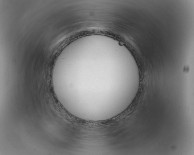 X0000113611015200909181046