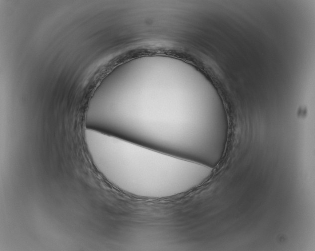 X0000113611016200909181046
