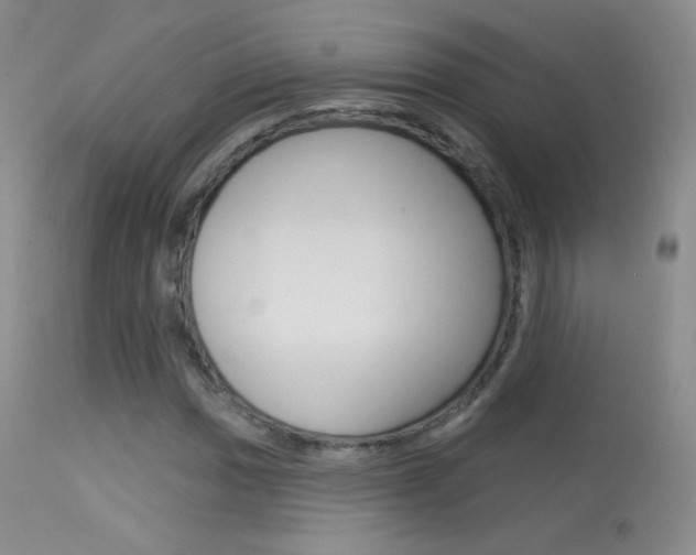 X0000113611017200909181046