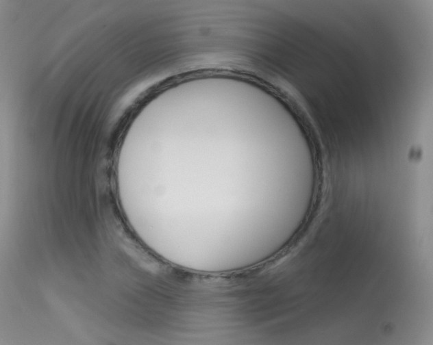 X0000113611019200909181046