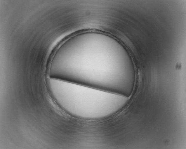 X0000113611020200909181046