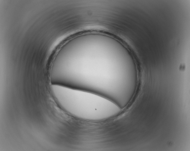 X0000113611022200909181046