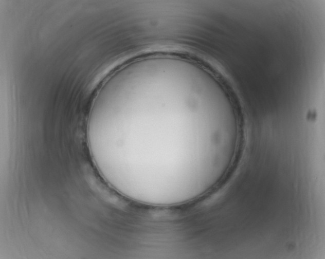 X0000113611025200909181046