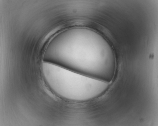 X0000113611026200909181046