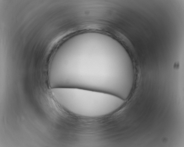 X0000113611027200909181046
