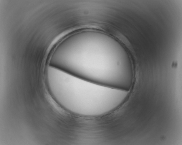 X0000113611028200909181046