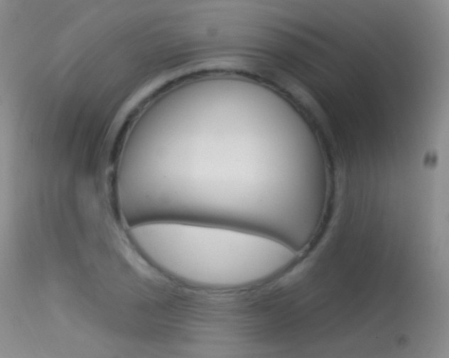 X0000113611029200909181046