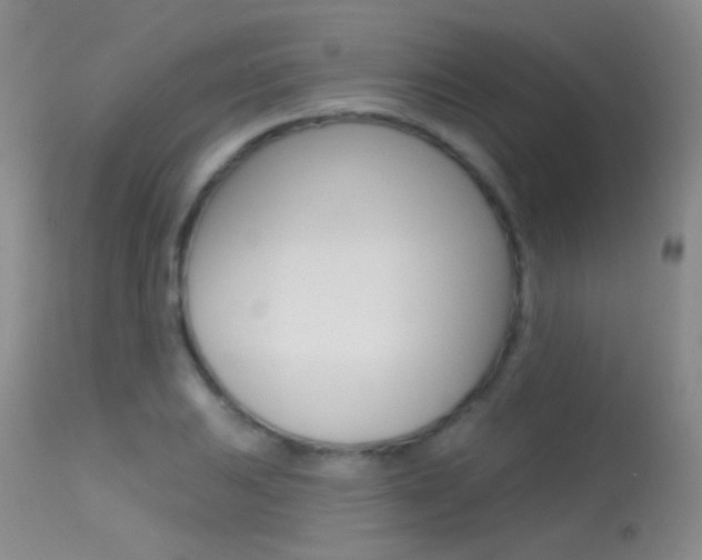 X0000113611031200909181046
