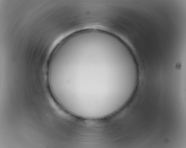X0000113611032200909181046