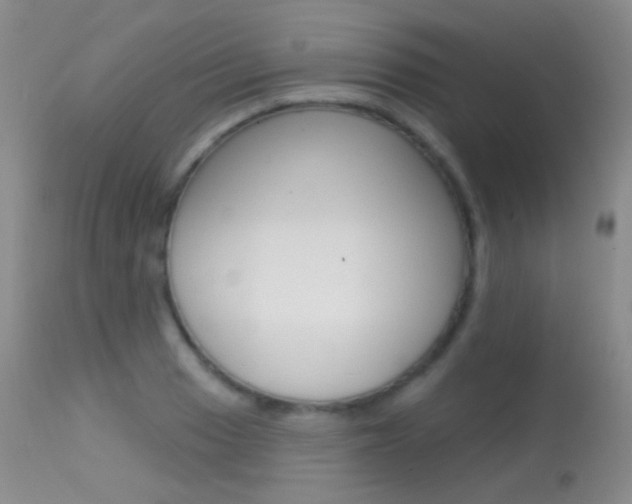 X0000113611033200909181046