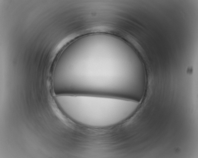 X0000113611034200909181046