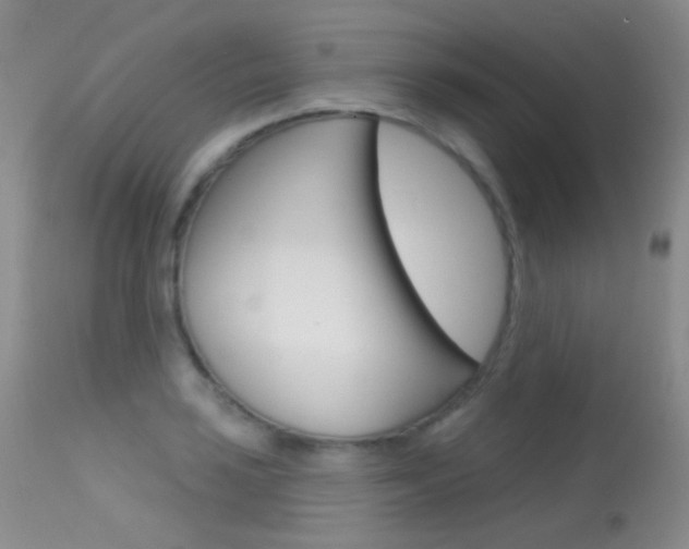 X0000113611035200909181046