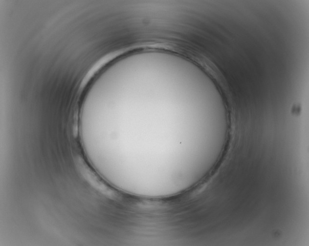 X0000113611036200909181046