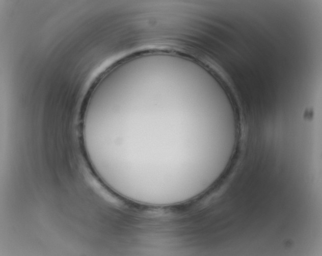 X0000113611037200909181046