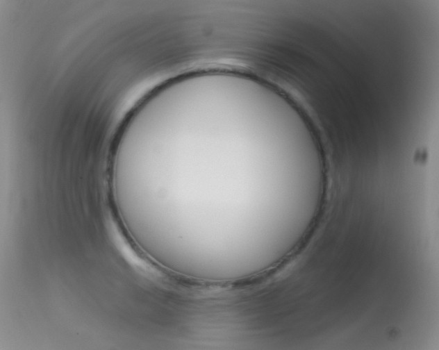 X0000113611038200909181046