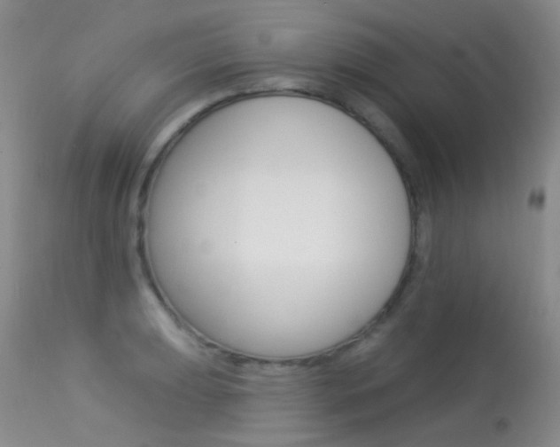 X0000113611039200909181046