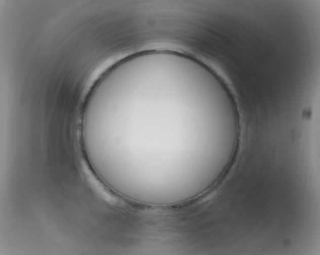 X0000113611040200909181046