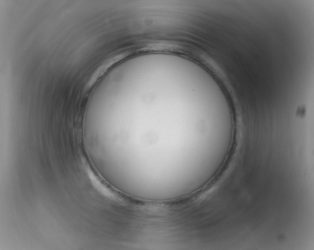 X0000113611041200909181046