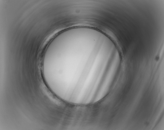 X0000113611043200909181046