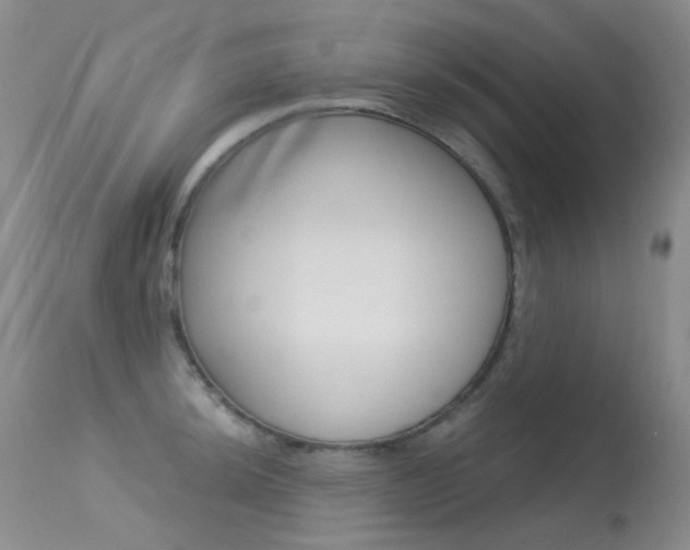 X0000113611044200909181047
