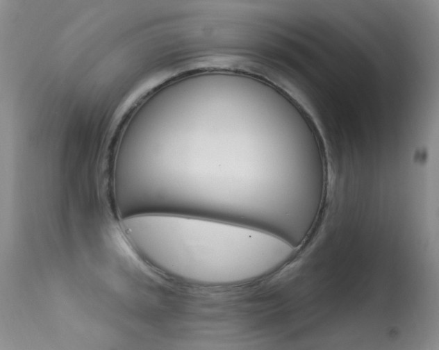 X0000113611045200909181047