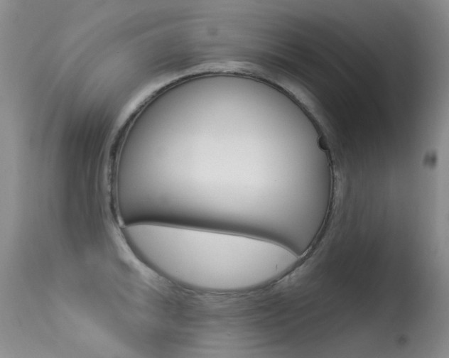 X0000113611046200909181047