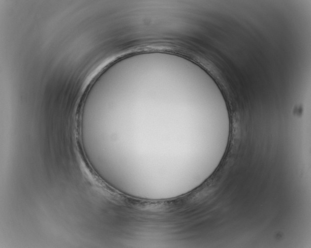 X0000113611047200909181047