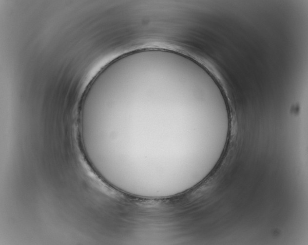 X0000113611048200909181047