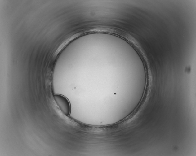 X0000113611049200909181047