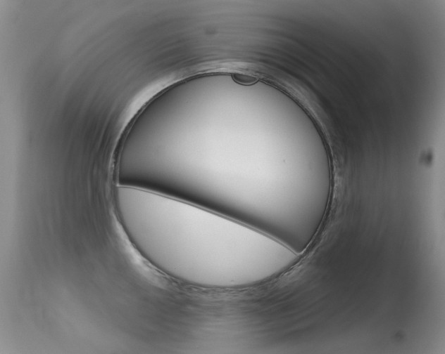 X0000113611050200909181047