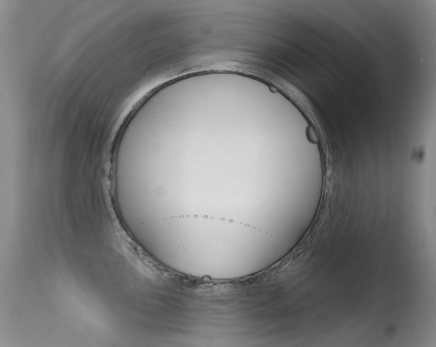 X0000113611051200909181047