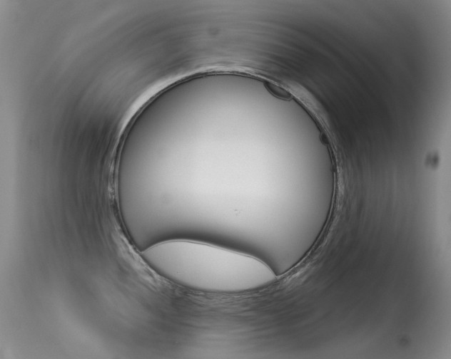 X0000113611052200909181047