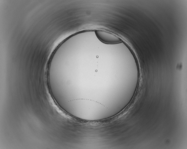 X0000113611053200909181047