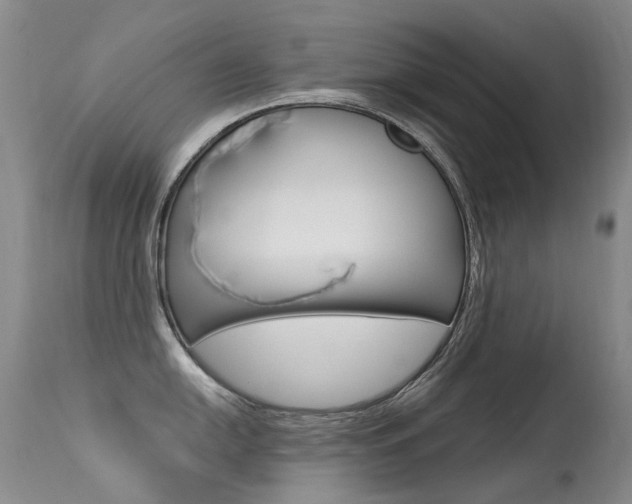 X0000113611054200909181047