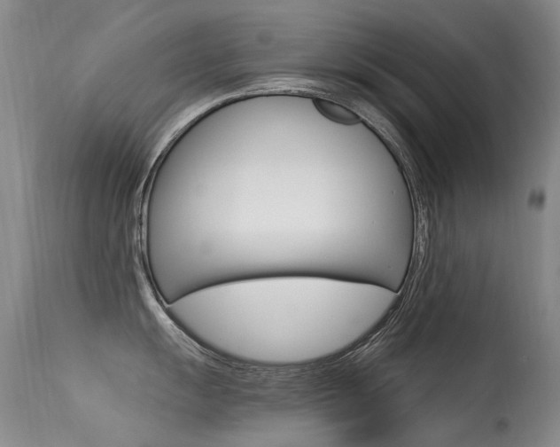 X0000113611055200909181047