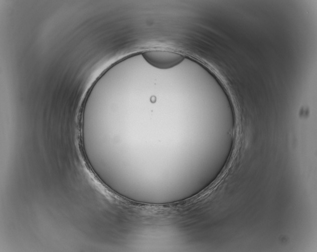 X0000113611056200909181047