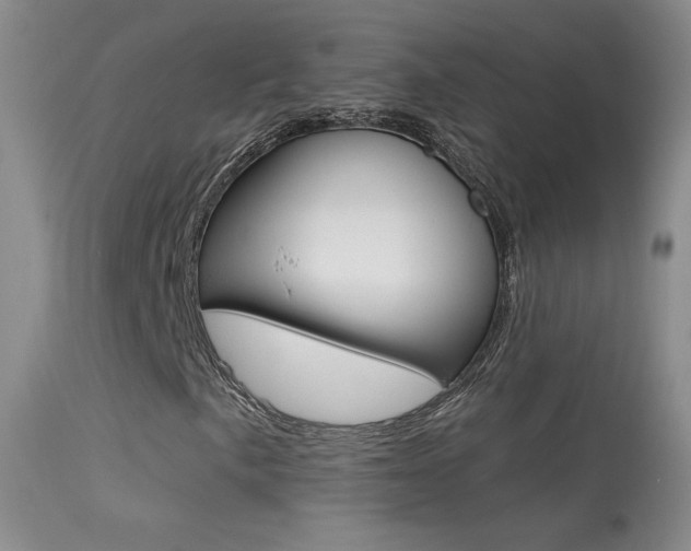 X0000113611057200909181046