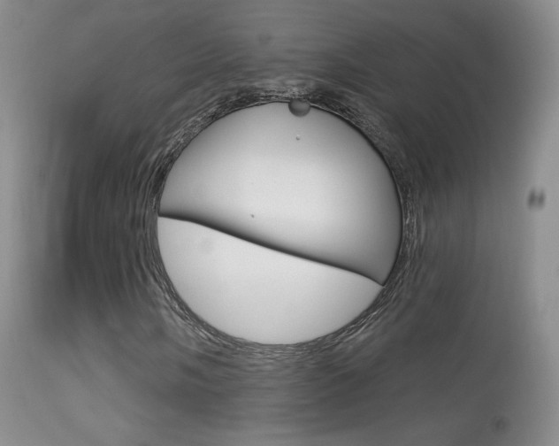 X0000113611058200909181046