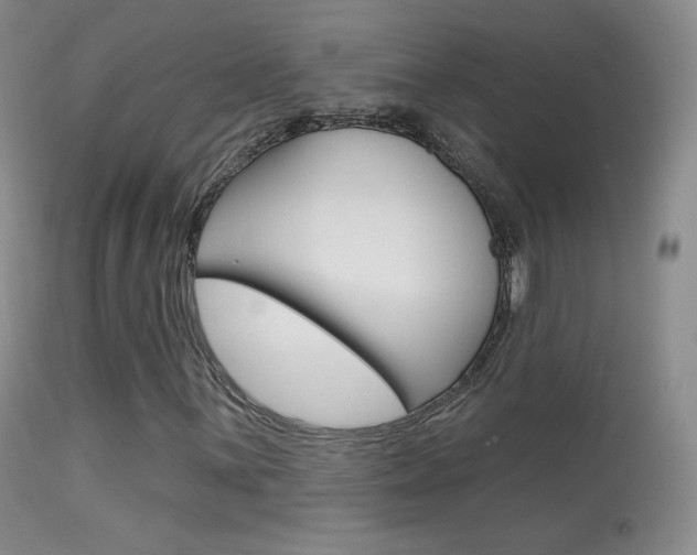 X0000113611059200909181046