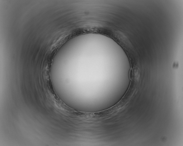X0000113611060200909181046