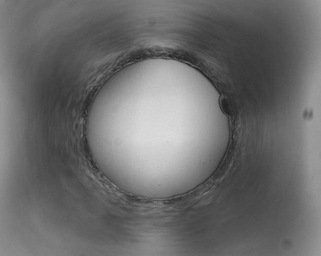 X0000113611061200909181046