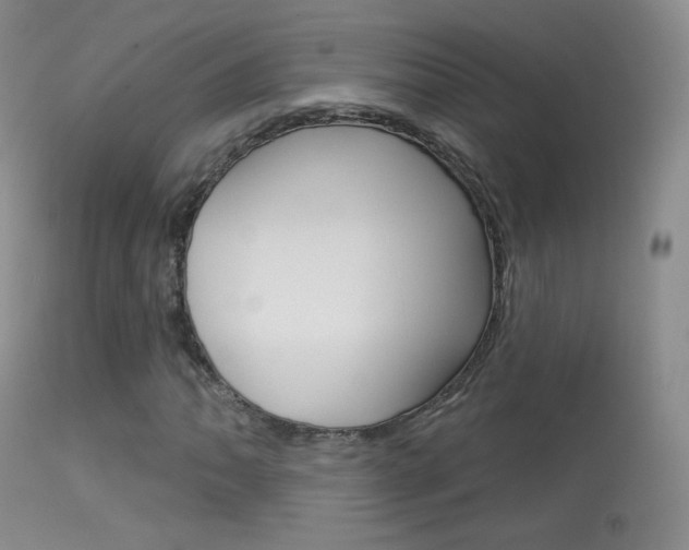X0000113611062200909181046