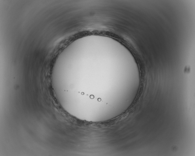 X0000113611063200909181046