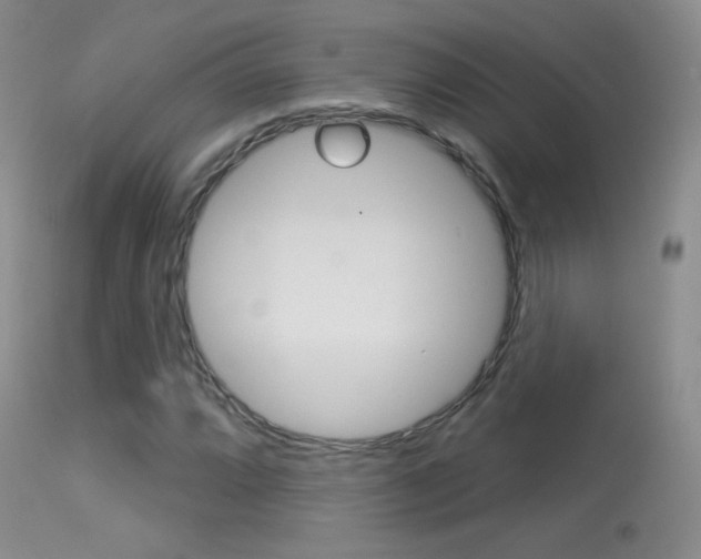 X0000113611064200909181046