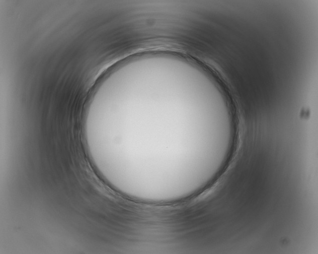 X0000113611065200909181046
