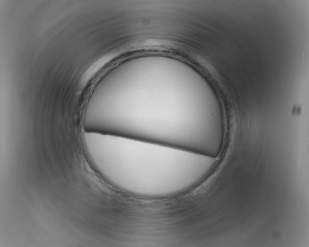 X0000113611066200909181046