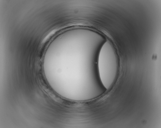 X0000113611067200909181046