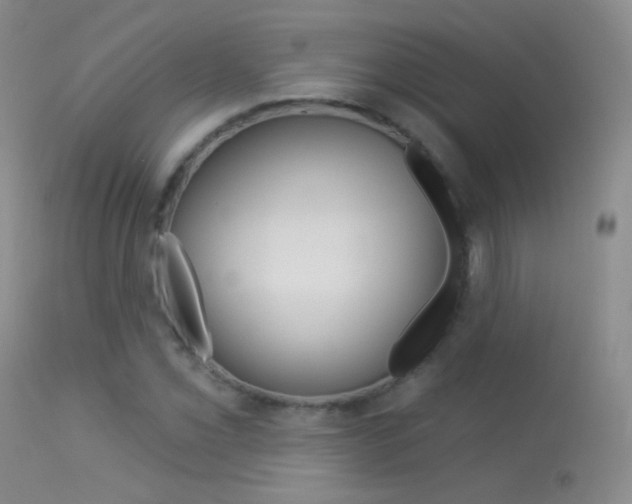 X0000113611069200909181046