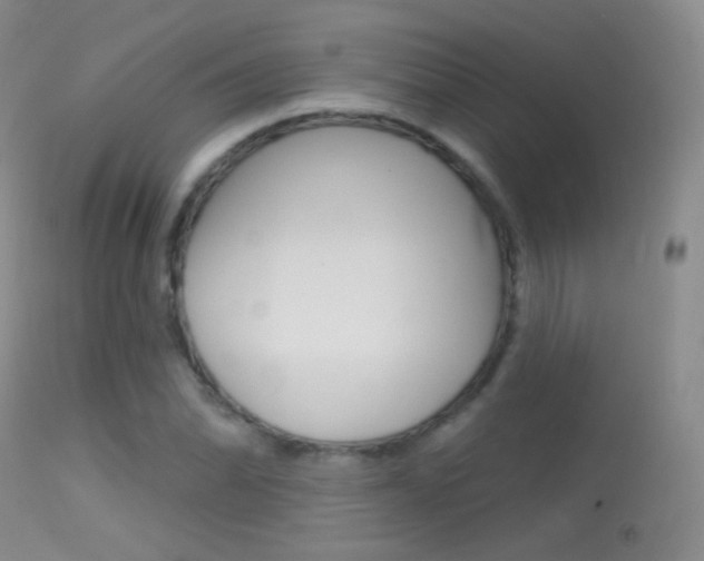 X0000113611070200909181046
